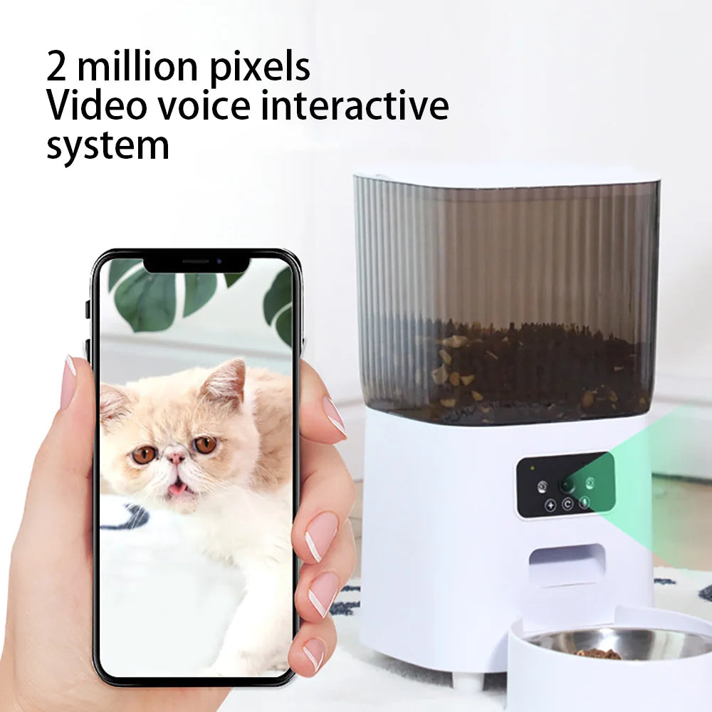 Automatic Cat Feeder