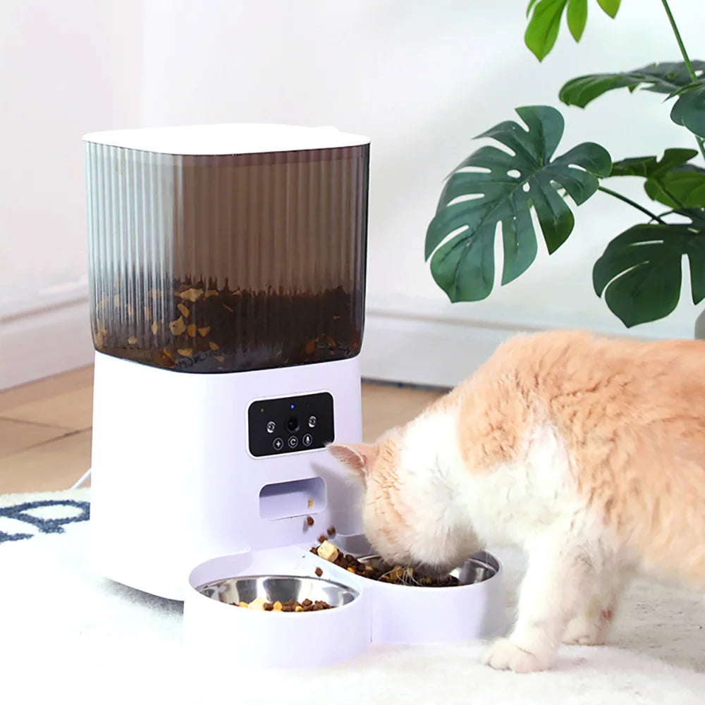 Automatic Cat Feeder