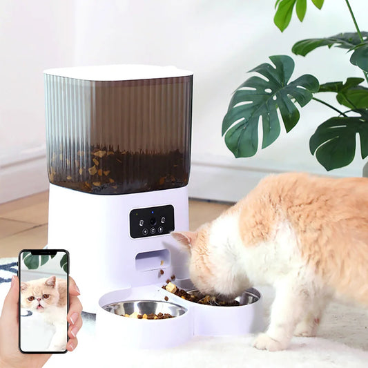 Automatic Cat Feeder